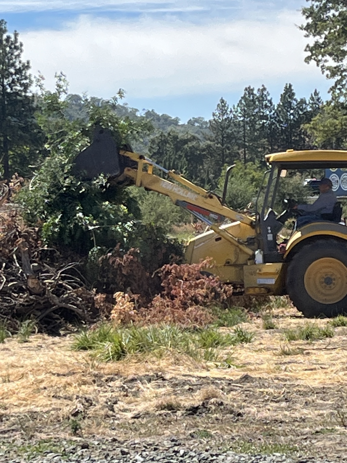 Tractor loader handling biomass material